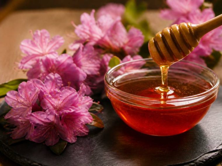 Mad honey wirkung: was das Rauschhonig enthält und wie es wirkt