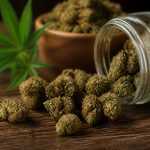Wirkungsdauer von cbd: wie lange wirkt cannabidiol?