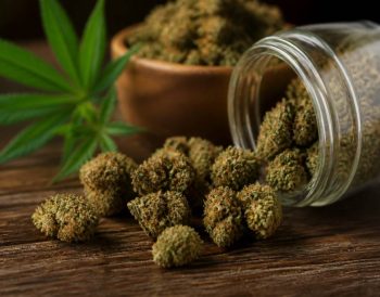 Happy flowers: wirkung, herkunft und verwendung von cbd-blüten