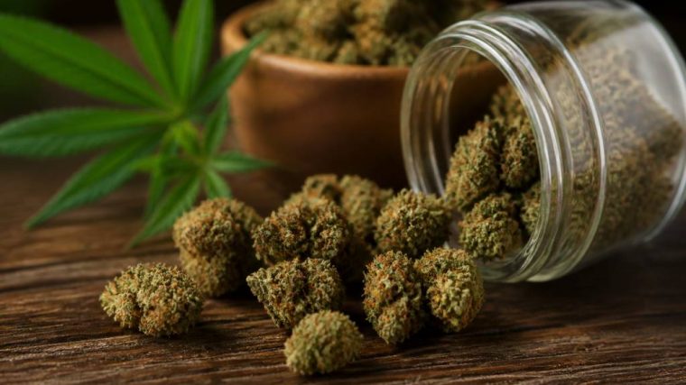Happy flowers: wirkung, herkunft und verwendung von cbd-blüten
