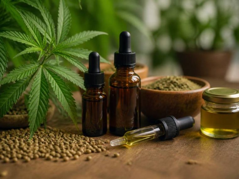Smart shop: natürliche produkte, cbd und pflanzenwissen online entdecken